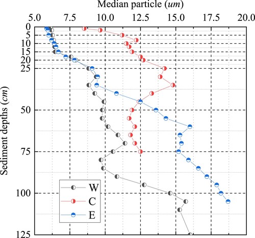 Figure 1. Vertical distribution of particle size in the three samples.