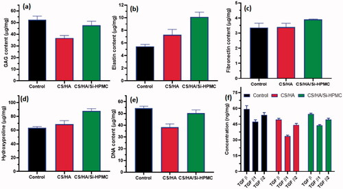 Figure 11. Quantitative analysis of biochemical assay on cartilage implanted in vivo samples of CS/HA, CS/HA/Si-HPMC and control (without any implant) exhibited the results of contents of GAG (a), Elastin (b), fibronectin (c), collagen (d), DNA (e) and TGF β, β1, & β2 (f). Data value described as mean ± SD (n = 3).