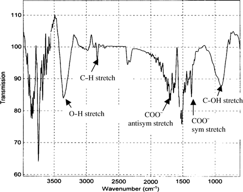 Figure 3. FTIR spectra of ZnO nanoparticles synthesised by thermal decomposition method.