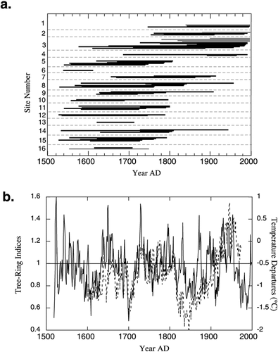 FIGURE 4. (a) The cross-dated positions of 80 trees. Series are arranged from south (bottom) to north (top). See Fig. 1b for site locations. Inner ring dates are maxima as the stems of trees were sampled meters above the original ground surface. Outer-ring kill dates are minimal as an undetermined number of rings have been abraded or rotted. The black bars are intervals of growth for trees from the ghost forest; the gray bars are living trees. (b) The composite ring-width series based on samples from the Tana dunes. The broken line is a temperature reconstruction based on tree rings (CitationJacoby et al., 1999). Note the similarity between the temperature reconstruction and the growth patterns of the Tana dune trees.