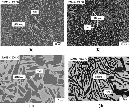 Figure 7. BSE images of (a) alloy TAM8 (Ti-45.0Al-5.0Mo) heat-treated at 1000 °C, (b), (c) alloy TAM9 (Ti-45.0Al-7.5Mo) heat-treated at 900 and 1300 °C, respectively; (d) alloy TAM10 (Ti-45.0Al-10.0Mo) heat-treated at 1200 °C all showing a two-phase microstructure consisting of (βTi.Mo)/(βTi,Mo)o (bright) and TiAl (dark).