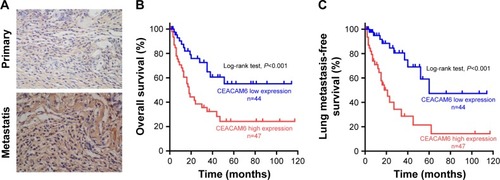 Figure 2 CEACAM6 expression is associated with the clinicopathologic characteristics of osteosarcoma.