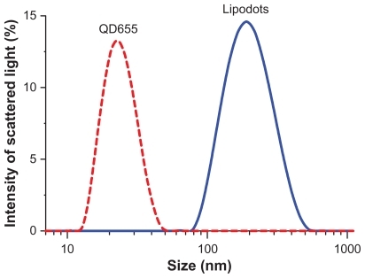 Figure 2 Size distribution chart of QD655 and lipodots measured using the DLS technique.Abbreviations: QD, quantum dot; DLS, dynamic light scattering.