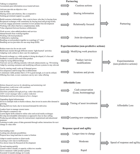 Figure 2. (Continued).