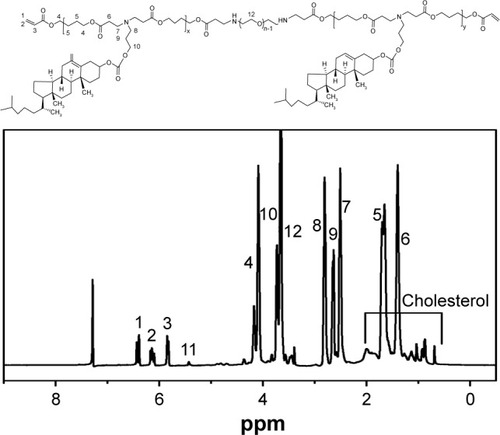 Figure 3 1H NMR spectrum of polymer brush (PAE-g-Chol)-b-PEG-b-(PAE-g-Chol) in d-CDCl3.Abbreviation: (PAE-g-Chol)-b-PEG-b-(PAE-g-Chol), (poly(β-amino esters)-g-cholesterol)-b-poly(ethylene glycol)-b-(poly(β-amino esters)-g-cholesterol).