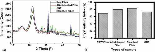 Figure 4. (a) XRD curve and (b) crystallinity index of Muntingia fiber without treatment, alkalized, bleached and CNF treated.