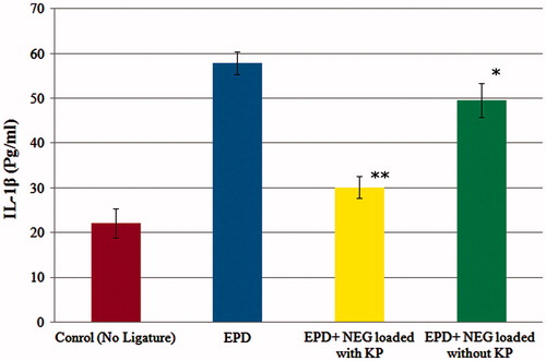 Figure 4. Effect of 2% w/w nanoemulgel of KP and without KP on IL-1β in experimental periodontal disease (EPD) in rat, comparison with EPD without treatment. Bars represent the mean ± S.D of alveolar bone loss (mm; n = 6). *p < 0.05 was considered less significant difference compared with the NEG without KP and non-treated groups; **p<0.05 was considered more significant difference compared with NEG loaded with KP and non treated group. (ANOVA, Turkey–Kramer multiple comparisons test).