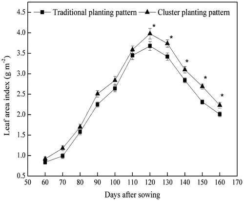 Figure 2. Leaf area index of cotton at different growth stages in traditional and cluster planting patterns in 2012. Values represent means ± SD (n = 6).