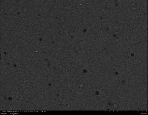 Figure 7 Transmission electron microscope image of NOR-PC-SNEDDS formulation (×20,000 magnification).Abbreviations: SNEDDS, self-nanoemulsifying drug delivery system; NOR-PC, norisoboldine-phospholipid complex.