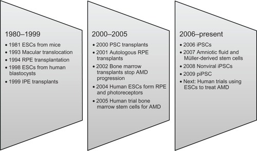 Figure 2 Milestones in the development of options for the management of AMD.