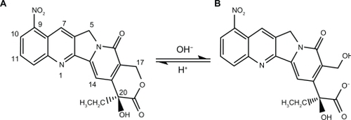 Figure 1 Chemical structure of lactone and carboxylate forms of 9-nitrocamptothecin showing their equilibrium reaction, (A) lactone form, (B) carboxylate form.