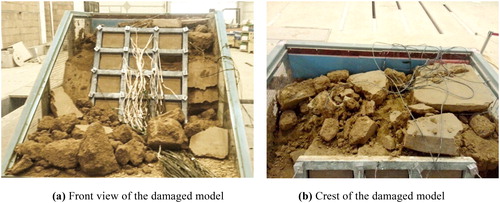 Figure 6. The deformation model after 1.0 g.