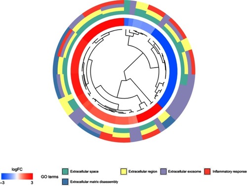 Figure 4 GO analysis results for the key genes.Abbreviation: GO, Gene ontology.