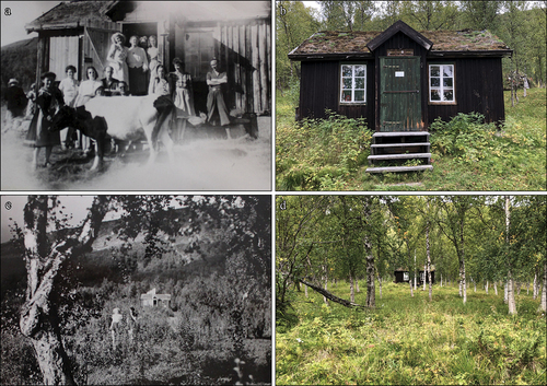 Figure 3. Photographs of the Maiva cabin in 1946 and 2020: (a) the tourist station, Maivatjåkkostugan, during the summer of 1946 with the two directors, several visitors, and the cow Mustakorva; (b) the cabin in its current state, as a research outpost; (c) the two directors walking from the cabin toward the shore with the surrounding vegetation of 1946; (d) the denser vegetation of 2020 with the cabin in the center of the photo.