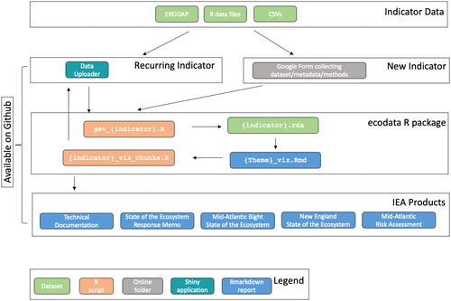Figure 3. Northeast IEA indicator workflow from ingesting raw data to generating final reports. This workflow outlines the stream of indicator data starting with raw uploadable formats (tables in Excel or text format) or existing on-line datasets in ERDDAP. A Google Form is used to collect information on new indicators, including metadata and file uploads. Existing indicators that need to be updated with newer data can use the Data Uploader application to update and visualize the dataset with the new data. All indicator data are managed within the ecodata R package. R scripts ingest the data (get_{indicator}.R) into a documentable and reusable R dataset format (*.rda). Rmarkdown reports organized by theme alternate text with plots of the indicators. The R chunks in these Rmarkdown reports are individually output for plotting reuse by the Data Uploader application and the many IEA reports.