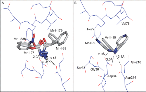 Figure 2.  Interactions of (A) hydrazide and (B) hydrazine transition state isosteres with catalytic aspartates of plasmepsin-II. Electrostatic interactions of hydrazide and hydrazine moieties of inhibitors with Asp34 and Asp214 residues are shown by broken lines (distances in Angstrom).