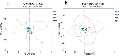Figure 4. Beta diversity analysis of microflora in the cecum of Minxinan black rabbits. (a) PCoA of rumen microbial composition based on weighted Unifrac; (b) PCoA of rumen microbial composition based on Unweighted Unifrac. Note: A = Control (0 mg·kg−1), B = Group I (50 mg·kg−1), C = Group II (100 mg·kg−1), D = Group III (150 mg·kg−1).