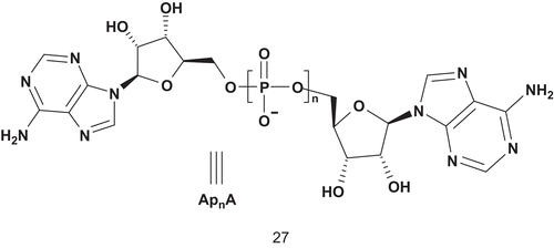 Scheme 16.  Multisubstrate for adenylate kinase.