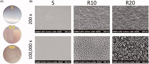 Figure 1. Representative FE-SEM pictures showing the morphology of the smooth (S) and hierarchical micro-/nanotextured surfaces (R10 and R20). (A) General observation of the fabricated samples; (B) The nanotubes with 25 nm and 70 nm in diameter were distributed relatively uniformly onto the microstructured surface.