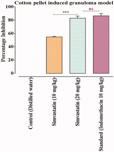 Figure 6. Effects of simvastatin and indomethacin in cotton pellet induced granuloma model. Values shown are Mean ± SEM of percentage inhibition of granuloma formation (n = 4). Where *** = p ˂ .001 and ns = p > .05. Black colour star means comparison between different doses of simvastatin (10 vs 20 mg/kg). While red colour star means comparison of simvastatin 20 mg/kg with indomethacin 10 mg/kg respectively.