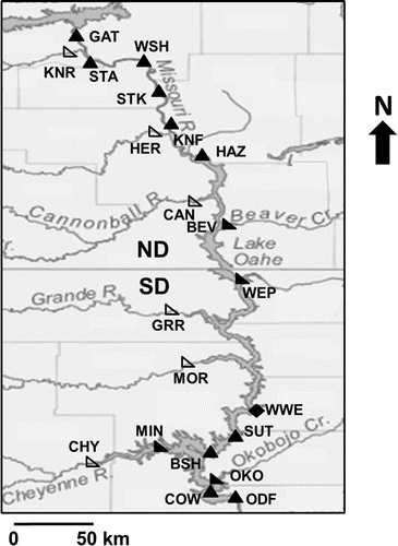 Figure 1. Water and walleye sampling locations in Lake Oahe, North Dakota (ND) and South Dakota (SD), USA. Shapes denote locations where fish of different ages were sampled: right-angle triangles (age-0), upright triangles (adult), diamonds (age-0 and adult). Water samples were collected at all 11 sites where age-0 fish were collected (i.e., right-angle triangles and diamonds). Tributaries are represented by open shapes, and mainstem and embayment sites are represented by filled shapes. Abbreviations are BEV = Beaver Bay; BSH = Bush Landing; CAN = Cannonball River; CHY = Cheyenne River; COW = Cow Creek Bay; GAT = Garrison Tailrace; GRR = Grand River; HAZ = Hazelton; HER = Heart River; KNF = Kneifel Bay; KNR = Knife River; MIN = Minneconjou Bay; MOR = Moreau River; ODF = Oahe Dam face; OKO = Okobojo; STA = Stanton; STK = Steckel; SUT = Sutton; WEP = West Pollock Bay; WSH = Washburn Bay; WWE = West Whitlock Bay.