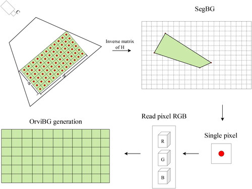 Figure 7. Flow chart of orthographic video background generation.