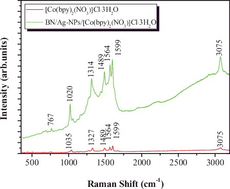 Figure 3. Raman spectra of [Co(bpy)2(NO3)]Cl·3H2O and BN/Ag-NPs/[Co(bpy)2(NO3)]Cl·3H2O.