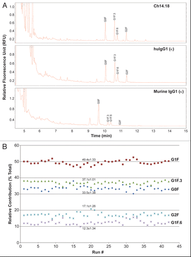 Figure 4 N-glycan analysis of ch14.18. (A) Comparison of N-glycan profile ch14.18, control human IgG1(κ) and murine IgG1(κ). Experimental details are described in Materials and Methods. (B) Intra-day and inter-day consistency in the N-glycan profile of ch14.18. Data were collected from analysis of a reference lot ch14.18 from different experiments performed within the same day or on different days and plotted. The mean of all the estimates and the standard deviation from average are also indicated.