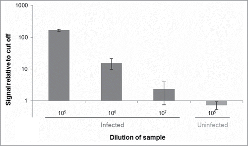 Figure 3. Distinguishing PrPSc aggregates in brain homogenate from an infected hamster vs. an uninfected control hamster. Dilutions of homogenates from brains of infected or uninfected hamsters in buffer were analyzed for the presence of PrPSc using SP-PLA with the 3F4 monoclonal antibody. A cut-off value was set at 3 standard deviations above the mean signal from a negative control (only buffer). Plotted in the graph are the ratios of reporter DNA molecules in the assayed samples relative to this cut off. The data shown are the mean values of 3 replicates with standard deviations.