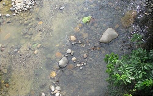 Figure 5. ‘Here they are damaging the river, they are mining, and all along here they wash gold.’ (Photo taken of a river near Ishkay Yaku community by a student of Camilo Huatatoca).