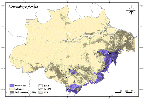 Figure 75. Occurrence area and records of Notomabuya frenata in the Brazilian Amazonia, showing the overlap with protected and deforested areas.