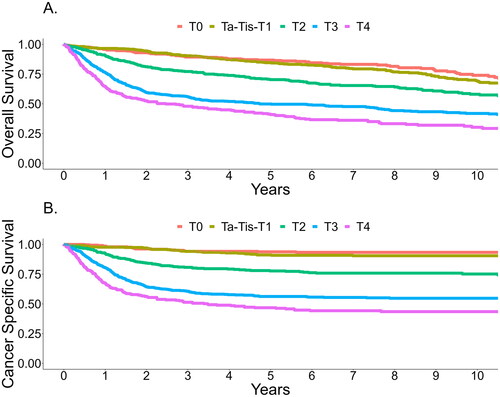 Figure 2. A. Overall survival according to pT-category B. Cancer specific survival according to pT-category.