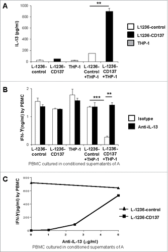 Figure 2. (A) 5 × 105 L-1236-control or L-1236-CD137 cells were co-cultured with 5 × 105 THP-1 cells for 24 h. Supernatants from the cocultures were tested for IL-13 levels by ELISA. (B) PBMC were sub-optimally activated with 2 ng/mL of anti-CD3 (clone OKT3) and cultured in 50% conditioned supernatants of the cocultures of (A) for 24 h. 5 μg/mL of polyclonal goat IgG or goat polyclonal IL-13 antibody were added. (C) Anti-IL-13 antibody has been added at indicated concentrations to activated PBMC cultured in 50% conditioned supernatants of (A). IFNγ secretion by was measured by ELISA after 24 h. Depicted are means ± SD of triplicate measurements. *p <0.05; **p <0.01; ***p <0.005. Data are representative of three independent experiments.