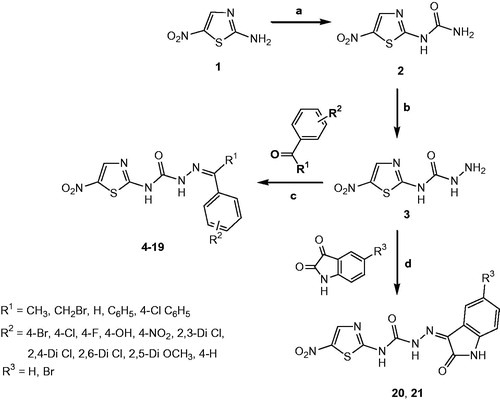 Scheme 1. Synthesis of compounds 4–21. Reagents and conditions: (a) Glacial acetic acid/H2O, NaOCN, 40–50 °C, 5 h; (b) Ethanol, NH2NH2·H2O, reflux, 18 h; (c) Ethanol, reflux, glacial acetic acid, 35–80 h; (d) Ethanol, reflux, glacial acetic acid, 29–50 h.