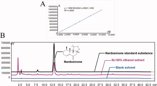 Figure 2. HPLC analysis of 80% ethanol extract of NJ. (A) the linear regression equation for the standard substance of nardosinone; (B) HPLC of nardosinone in 80% ethanol extract of NJ and standard substance.