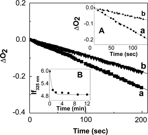 Figure 3. Profiles of oxygen consumption, in MeOH solutions, upon riboflavin-sensitized photoirradiation (a) 0.02 mM Riboflavin + 1.0 mM propyl gallate; (b) 0.02 mM riboflavin + 1.0 mM propyl gallate + 1 mg/100 ml catalase. Inset A: Profiles of oxygen consumption, in MeOH, upon riboflavin-sensitized photoirradiation (a) 0.02 mM riboflavin + 1.0 mM t-butylhydroquinone; (b) 0.02 mM Riboflavin + 1.0 mM t-butylhydroquinone + 1 mg/100 ml catalase. Inset B: Profile of 0.03 mM t-butylhydroquinone consumption, monitored through the decay of stationary fluorescence intensity at 325 nm in the presence of 20.0 mM H2O2 as a function of time, in MeOH.