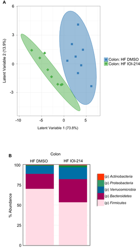 Figure 10 IOI-214 improves gut microbiota dysbiosis in HF diet-fed mice.