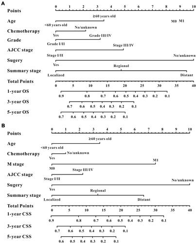Figure 2 Survival nomogram for the prediction of 3-year, 5-year and 10-year OS (A) and CSS (B) in elderly osteosarcoma patients.