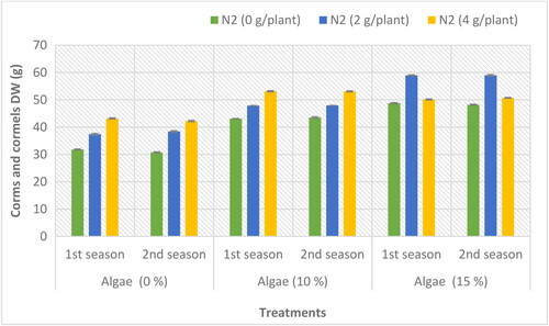 Figure 2. Corms and cormels dry weight (g) of P. tuberosa L. cv. Double as influenced by N fertilizer and algae extract concentrations during the 2020/2021 and 2021/2022 seasons.