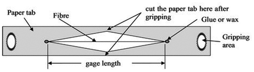 Figure 3. Set up for holding the fiber for tensile test.