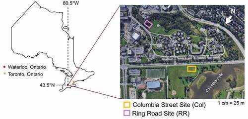 Figure 1. Study sites used for sample data collection in Waterloo, ON: Columbia Street (Col) and Ring Road (RR).