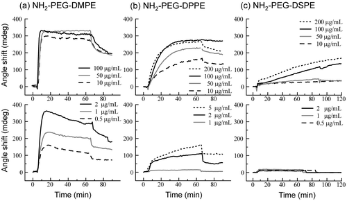Figure 3. SPR sensorgrams when NH2-PEG-lipids ((a) NH2-PEG-DMPE, (b) NH2-PEG-DPPE, (c) NH2-PEG-DSPE) were applied onto the supported lipid membrane. The SPR sensorgrams at concentrations of NH2-PEG-lipids above 10 μg ml–1 are shown in the upper panels while those at concentrations below 5 μg ml–1 PEG-lipids are shown in the lower panels.