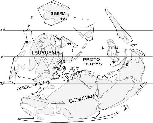 Figure 23. Palaeobiogeographic map of the Frasnian (ancient landmasses in light grey) showing the location of the areas considered in the present paper. Turkey in dark grey. 1: North Devon (Great Britain). 2: Boulonnais (France). 3: Rhenish Mountains (Germany) and Ardenne (Belgium). 4: Upper Harz Mountains (Germany). 5: Holy Cross Mountains (Poland). 6: Moravia (Slovakia). 7: Central Iran (Iran). 8: District of Mackenzie (Canada). 9: North Vietnam (Vietnam). 10: Canning Basin (Australia). 11: Russian platform and Oural (Russia). 12: Kuznetsk Basin (Russia). Genera and species taken into account- Disphyllum rugosum: Ardenne (Middle Frasnian), Rhenish Mountains/Bergisches Land (Middle Frasnian). D. curtum: Canning Basin (Frasnian). D. grabaui : Ardenne (Lower Frasnian). Disphyllum sp. 1 sensu Rohart (Citation2000, p. 68): Central Iran (Middle Frasnian). Wapitiphyllum defectum: Boulonnais (Middle Frasnian). Thamnopora polyforata/dubia: Boulonnais (Givetian or lower to Middle Frasnian), Ardenne (Givetian to Middle Frasnian), Rhenish Mountains (Givetian to Frasnian), North Vietnam (Givetian-Frasnian), Russian platform and Oural (Lower to Middle Frasnian). Th. near Th. polyforata: District of Mackenzie (probably lower or Middle Frasnian). Th. boloniensis /cristata: Boulonnais (Middle Frasnian), Ardenne (Givetian to Middle Frasnian), Upper Harz Mountains (Frasnian), North Devon (Givetian to Frasnian), Moravia (predominantly Lower Frasnian), Canning Basin (Upper Givetian to Lower Frasnian), North Vietnam (Givetian-Frasnian), Kuznetsk Basin (Frasnian). Th. e.g. boloniensis: Holy Cross Mountains (Givetian to Lower Frasnian).