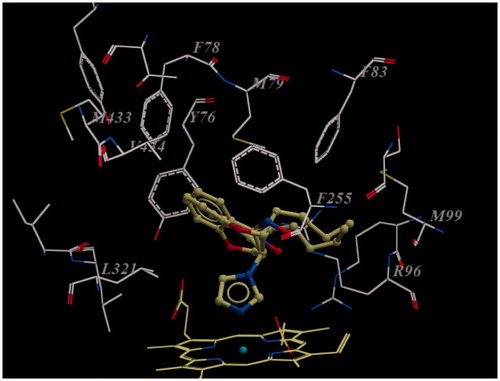 Figure 5. (RR)- and (SS)-enantiomers of compound 5d in the active site of enzyme. Note that oxime groups have been oriented in the opposite directions. The oxime group of (RR)-enantiomer orients toward the guanidine group of Arg96, while the oxime group of (SS)-enantiomer orients towards the Phe255 carbonyl group. For both enantiomers, phenyl ring, pentyl side chain and imidazole ring occupy the same place in the active site. For the sake of clarity only amino acids within 7 Å distant from the docked ligand are shown.