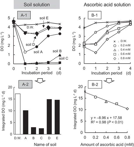 Figure 5. Changes in DO (A-1, B-1) and differences in integrated DO (A-2, B-2) of soil solution and ascorbic acid solution.