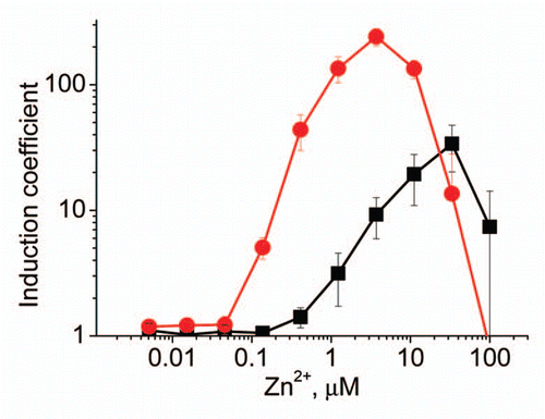 Figure 3 Inducibility of P. putida KT2440(pDNPcadA1lux) (black squares) and KT2440.2431(pDNPcadA1lux) (red circles) with Zn2+. Data represent the mean ± standard deviation of three independent experiments.