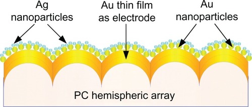 Figure 1 Schematic illustration of the proposed polycarbonate-based biosensor.