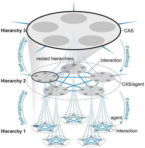 Figure 3. A complex adaptive system has a nested hierarchical network structure, which emerges from the bottom-up self-organisation of many interacting agents, endowed with indeterminate dynamics and adaptability. Diagram drawn by author.