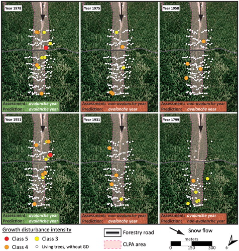 FIGURE 4. Spatial distribution of disturbed trees for six years in the Château Jouan path. Initially, scores (avalanchelnon-avalanche year) were assigned using “expert procedures” (see text for details). Scores were subsequently predicted using a classification tree calibrated from a combined data set composed of tree-ring chronology years from both the Pèlerins and Ressec paths. Two examples (1978 and 1951) represent years correctly predicted by the model. Conversely, four years (1975, 1958, 1931, and 1799) were incorrectly predicted. These represent only 3% of all predicted years. GD = growth disturbance. CLPA areas represent historical limits of snow avalanches derived from technical reports and photographs.