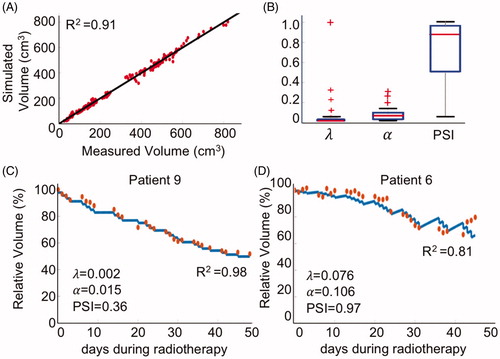 Figure 1. Simulated patient-specific tumor volume regression during radiotherapy. (A) Correlation of simulated volumes and measured volumes for all 25 patients (R2=0.91). (B) Distribution of model parameter values across all 25 patients. (C) Patient 9 with the best fit of the mathematical model (blue curve) to the data (red circles, R2=0.98). (D) Patient 6 with an average fit of the model to the data (R2=0.81).